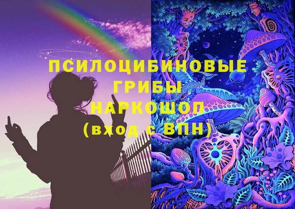 сатива Алексин