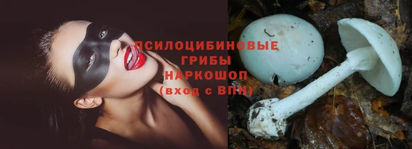 сатива Алексин