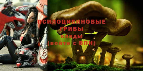 бошки Алзамай