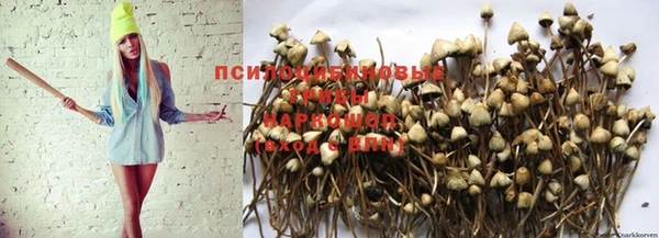 ГАЛЛЮЦИНОГЕННЫЕ ГРИБЫ Абдулино