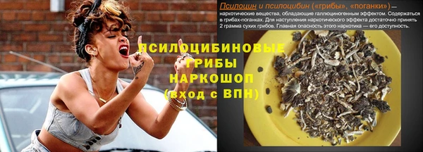 сатива Алексин