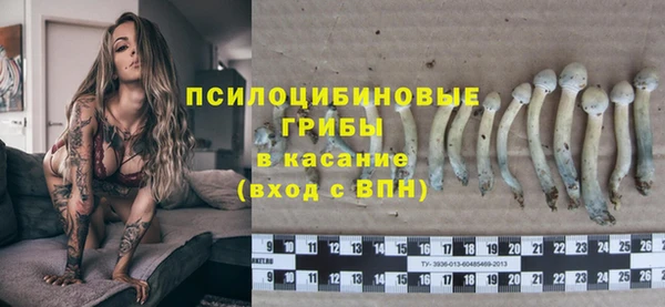 сатива Алексин