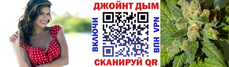 Каннабис сатива  Бокситогорск 